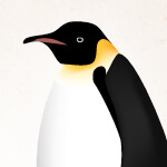 Penguins
